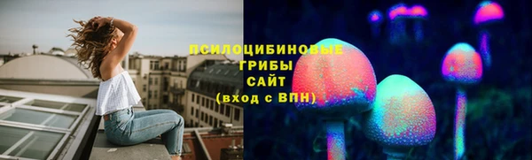 винт Абаза