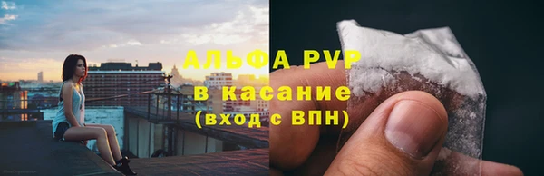 винт Абаза