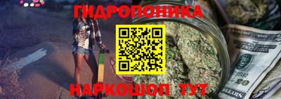 прущие грибы Краснокаменск