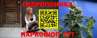 прущие грибы Краснокаменск