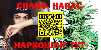 крисы Краснознаменск