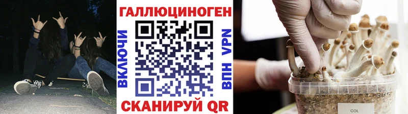 цены кракен как зайти Псилоцибиновые грибы MAGIC MUSHROOMS Звенигород