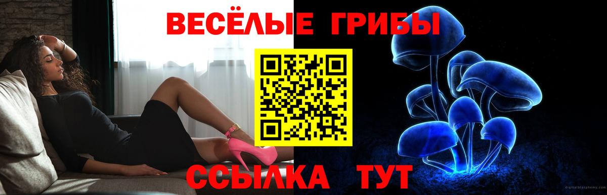 Галлюциногенные грибы мухоморы  наркотики  Звенигород  Вход с VPN  Галлюциногенные грибы прущие грибы 